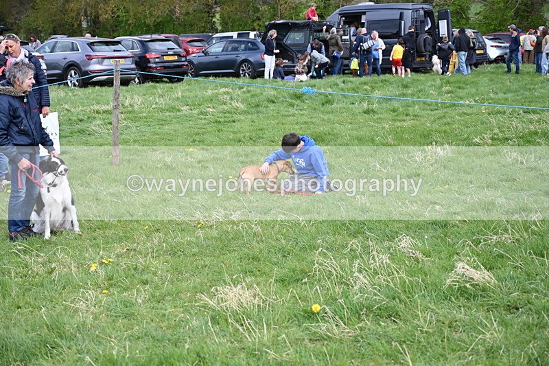 WJ6_8463 - Class 6 Best Rescue