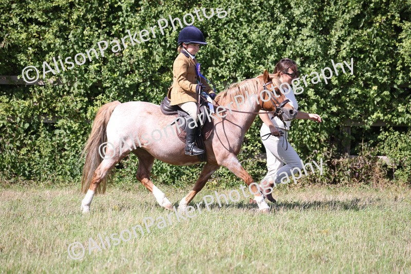 20260906-2354 - Class 16 - Family Pony