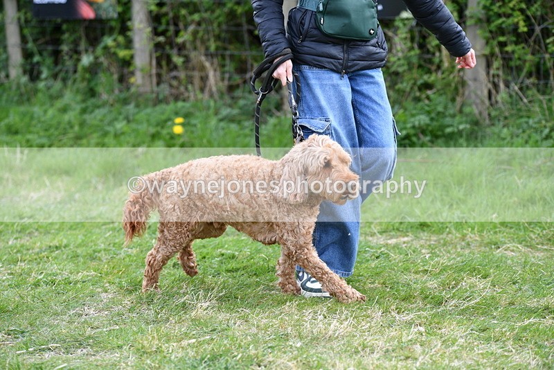 WJ5_0110 - Class 5 Best Veteran / 7 years & over