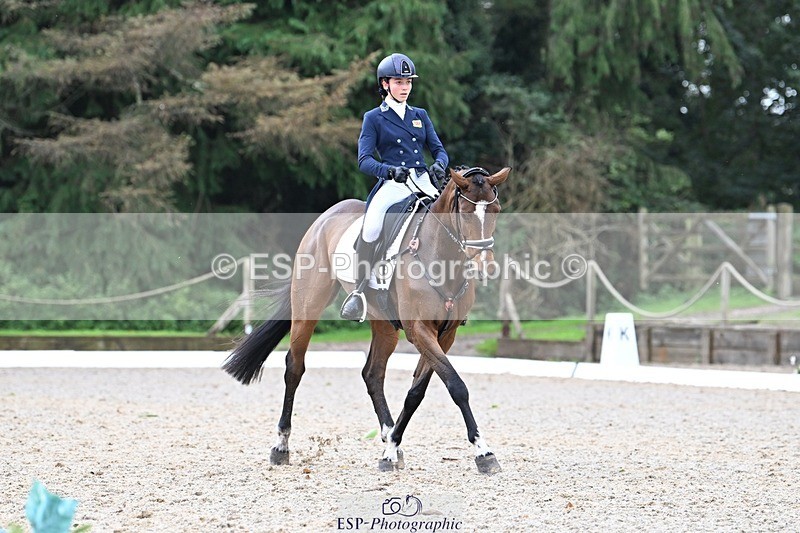 231019-122216-02738 - 044-COOLEY.ON.THE.CARDS-Charlotte.Cooke-DR