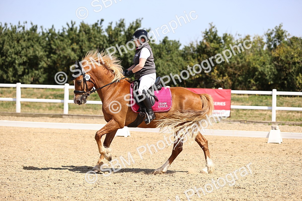 SBM_010408 - Novice 5 - 11.20-12.23