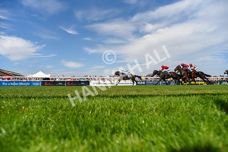 120826-Race 1-Lexington Boom-6241 - Race 1 14.15pm Macan At Porsche Centre Hull EBF Restricted Novice Stakes
