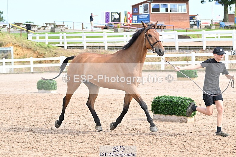 240717A-165749-03574 - Trot Up 4pm to 5pm