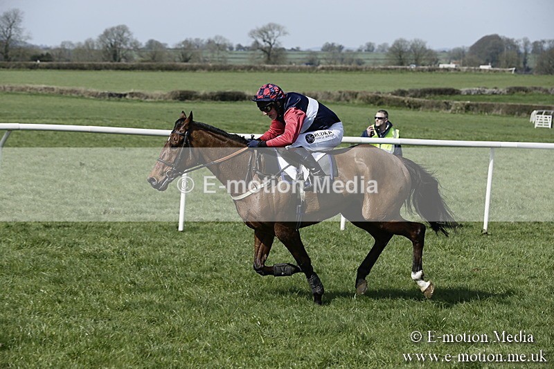 PtP 260317 11 - Mendip Farmers Point-to-Point Ston Easton 26/03/17