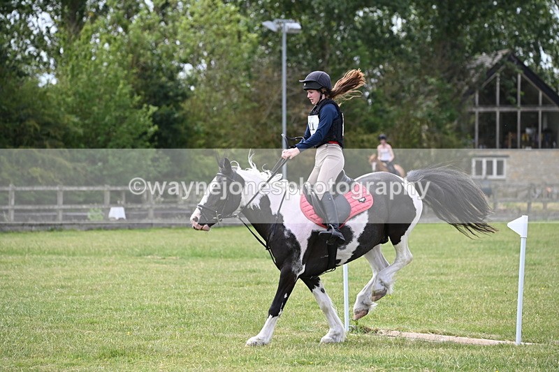 WJ6_6938 - 80cm XC Pairs