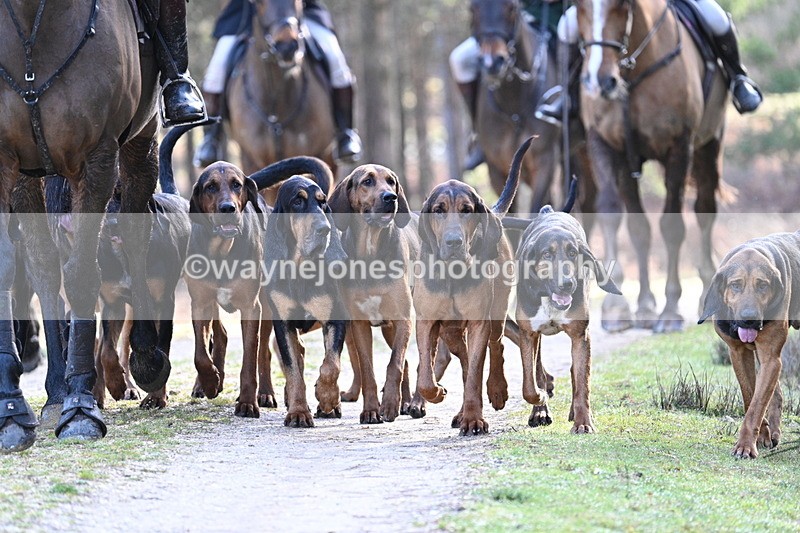 WJ7_7684 - Line 3 (no line 4 or 5)