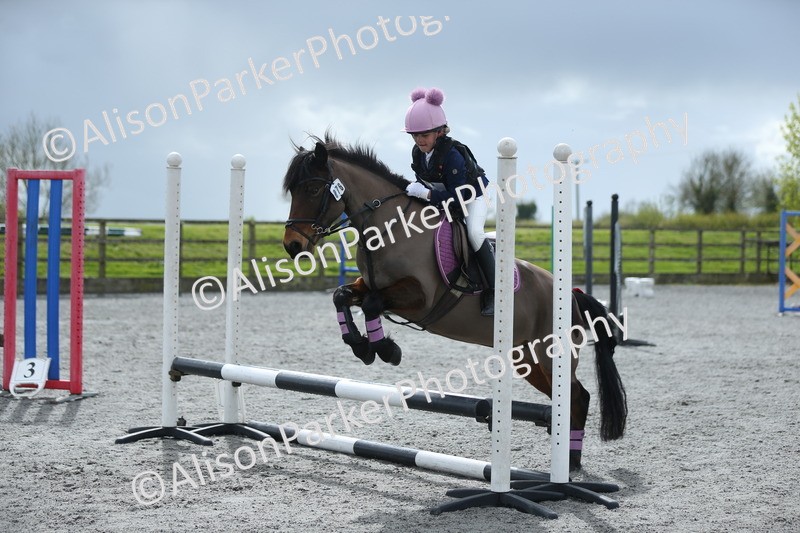 20260412-1759 - Show Jumping