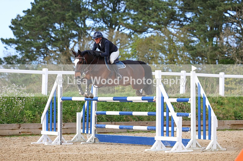 3E7A2170 - Class 8: Senior Foxhunter/1.20 open