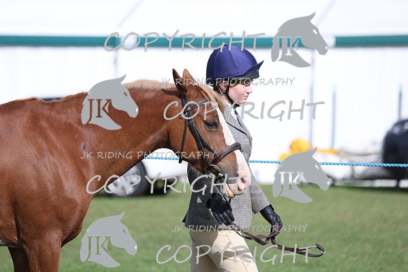 APP_2570 - Class 9 Veterans in hand