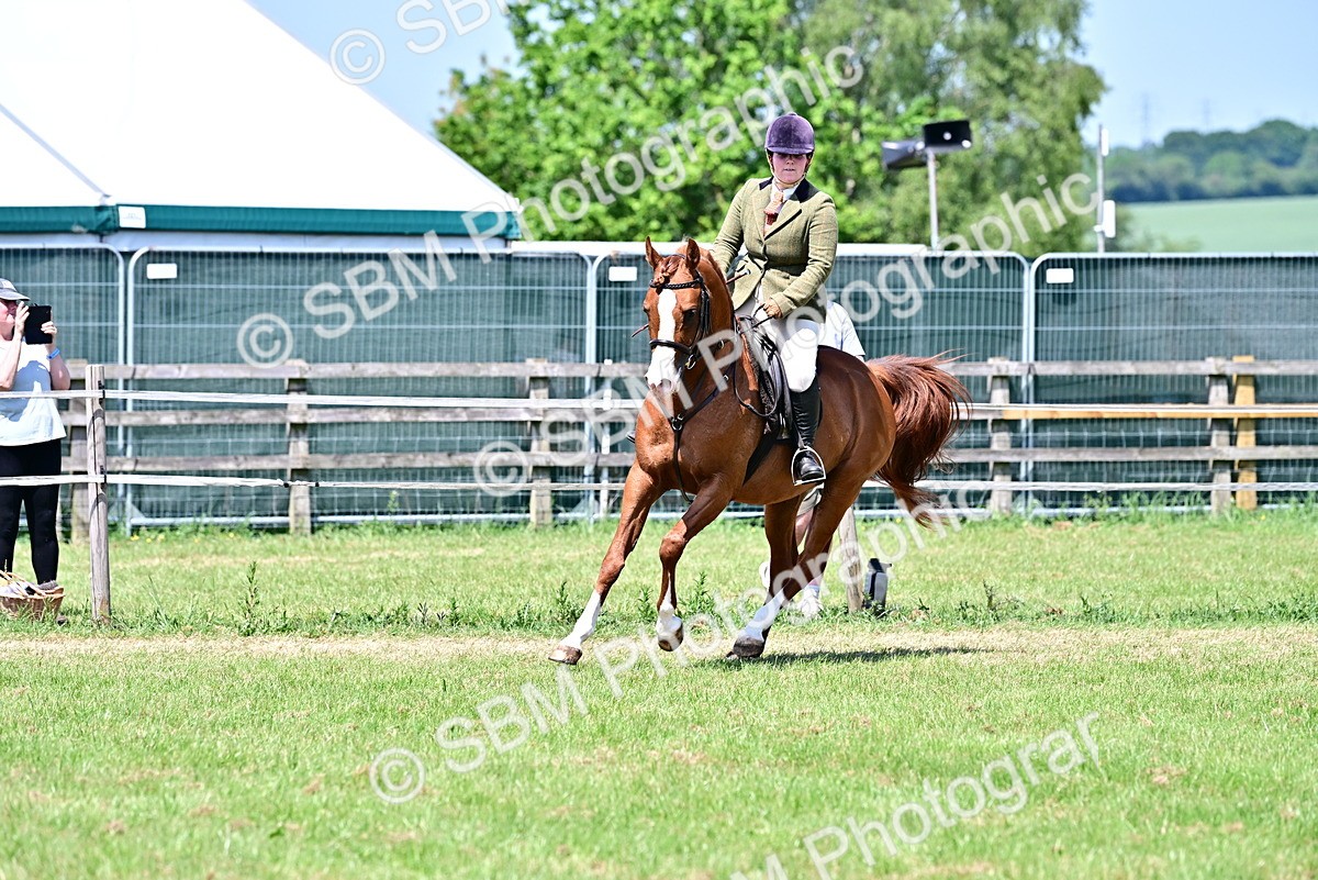 SBM_17456 - Class 95-97 - BSPS LHS Performance Ponies