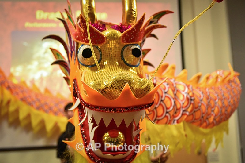 ACP_0460-1 - Chinese New Year