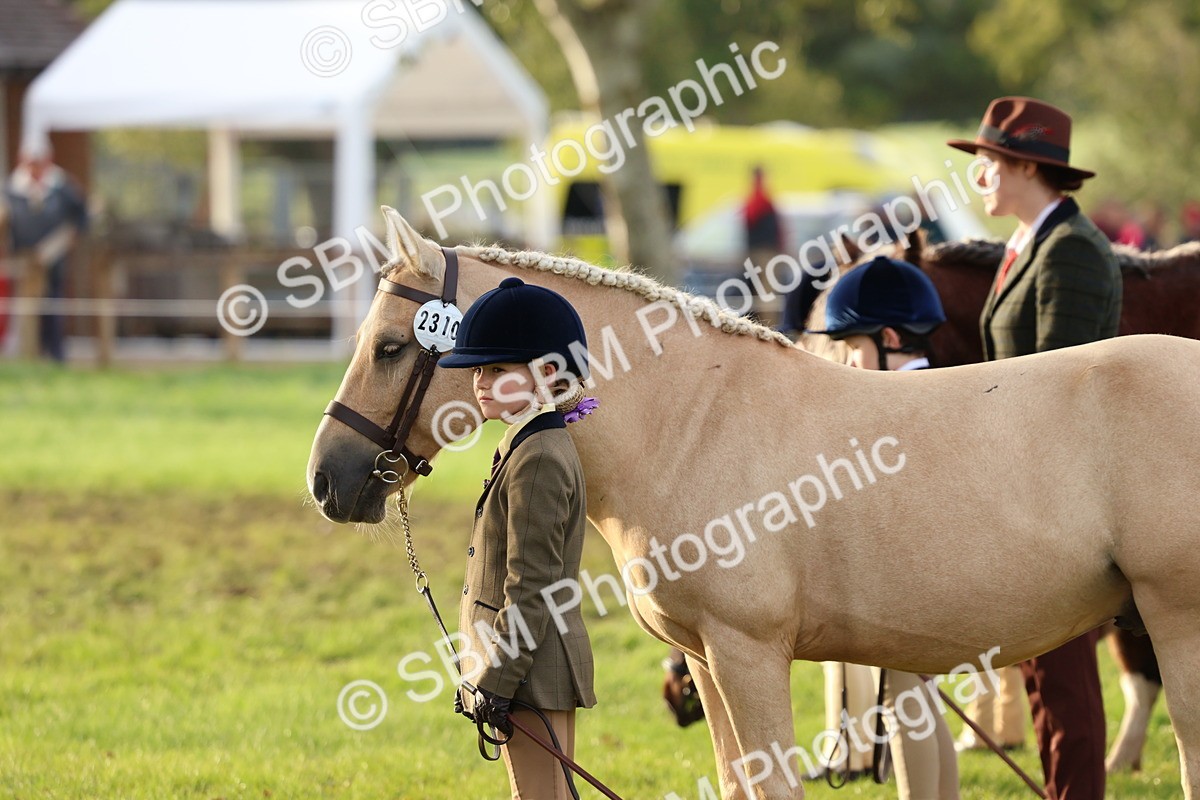 SBM_54867 - S39 - Starters In Hand Showing