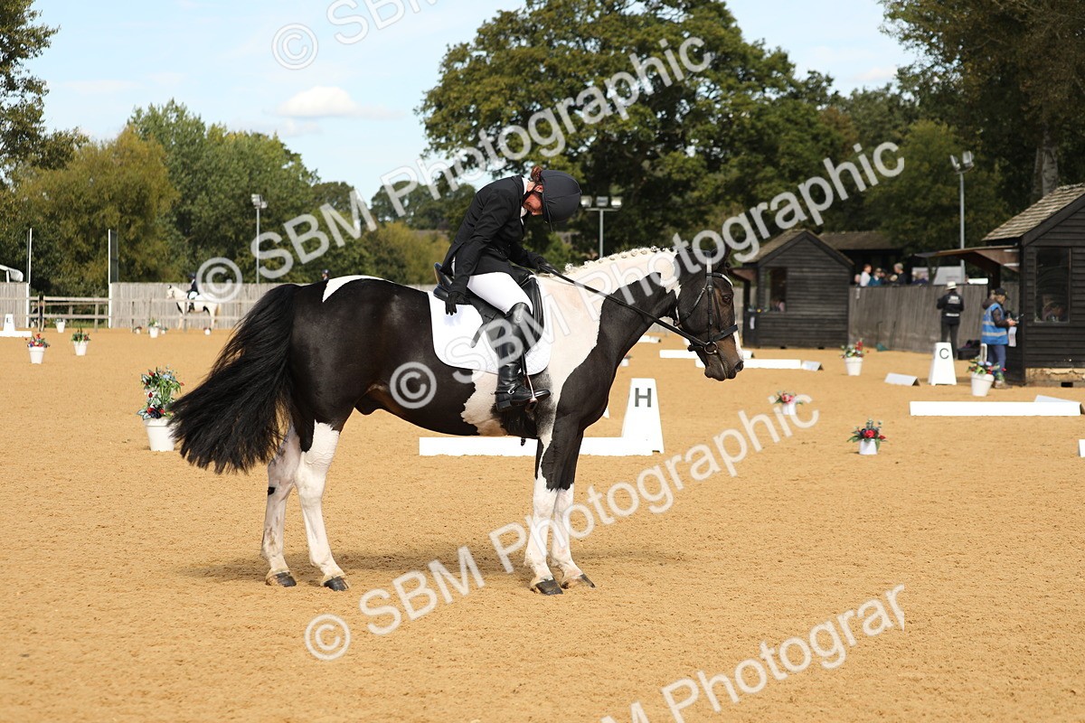 SBM_22217 - D17 - Grand Tour Championship - Novice 27