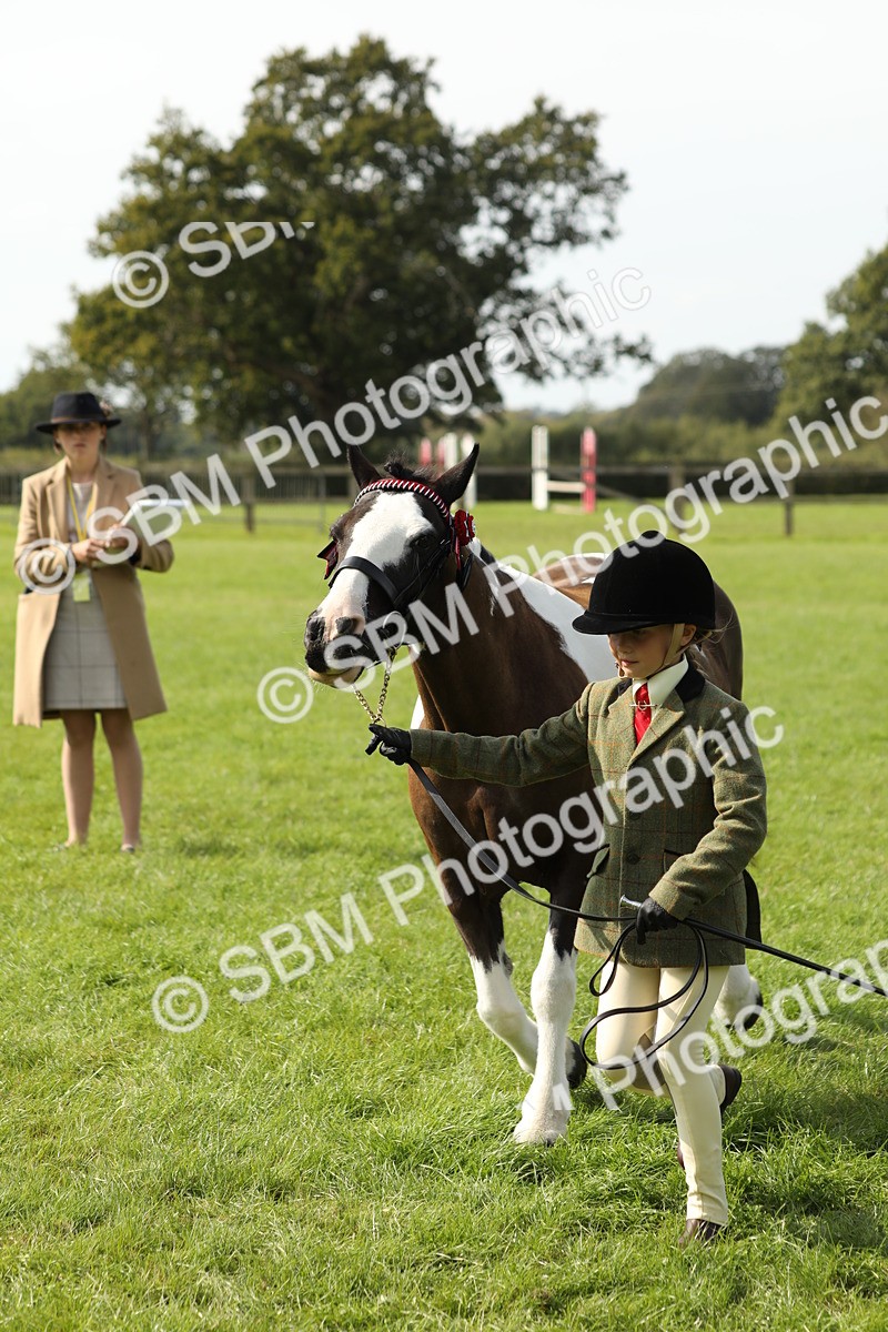 SBM_67793 - S39 - Junior Handler 8  Years & Under
