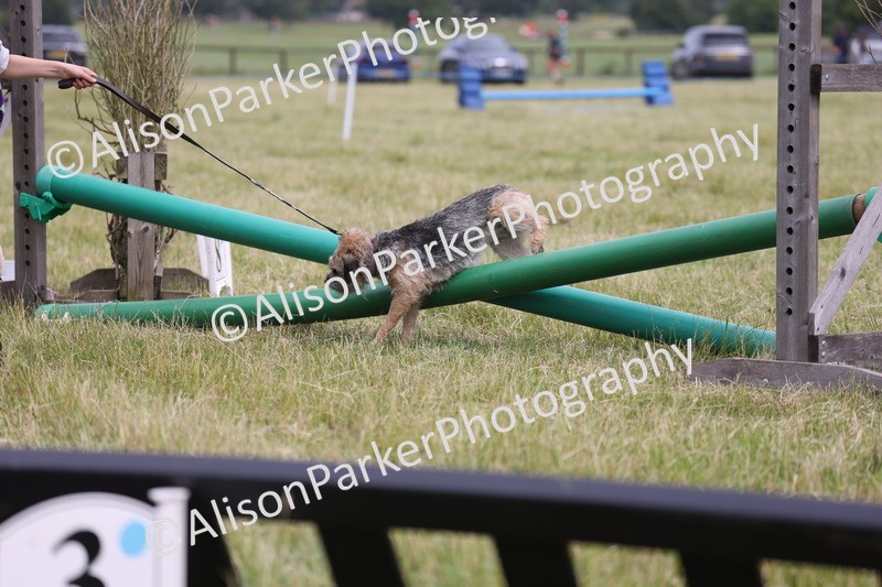 20260614-4373 - Class 25 - Horse and Hound Jumping