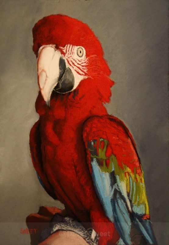 Charlie - Paintings