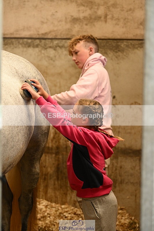 240809A-085646-00033 - Stable Shots