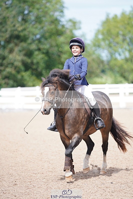 240809A-122156-00960 - Showjumping Competition
