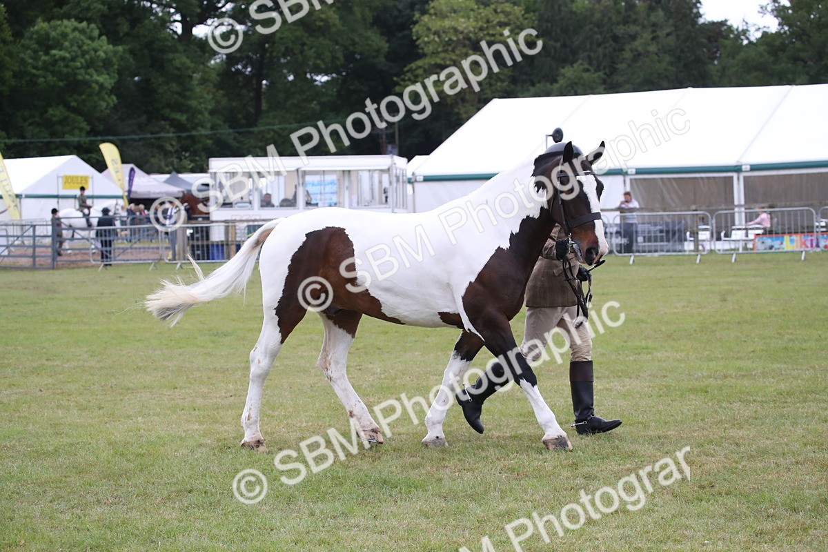 SBM_11284 - Class 92-93 - LIHS BSHA Rising Star Cobs