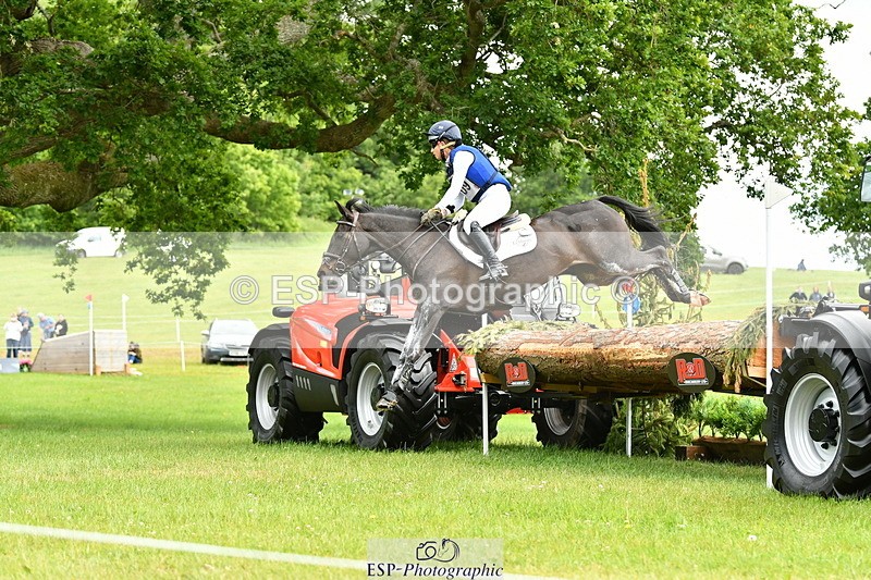 250525A-121619-16631 - D-409-Kirsty.Chabert-HERALDIKS.GIRL.OPPOSITION