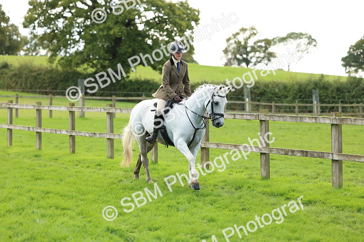 SBM_45534 - S33 - Working Hunter Pony