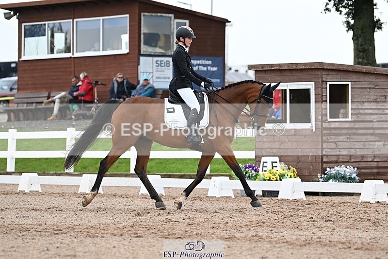 250907-121321-08267 - 066-Alice.KneenSpringtime.Marvel