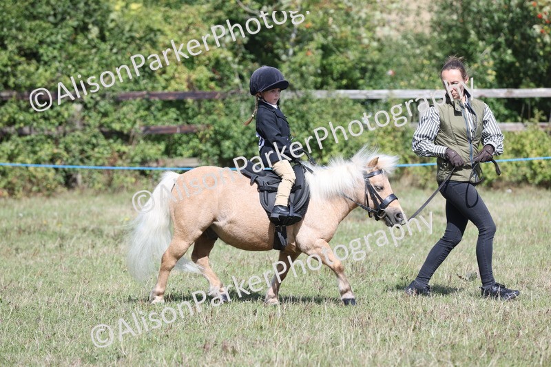 20250831-2663 - Class 17 - Lead Rein Pony