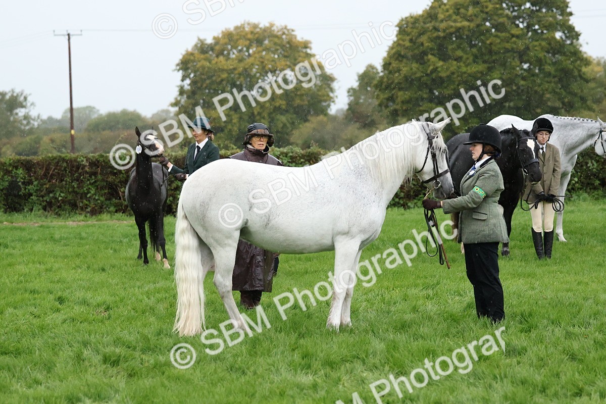SBM_35311 - S10 - Best In Hand Horse & Pony