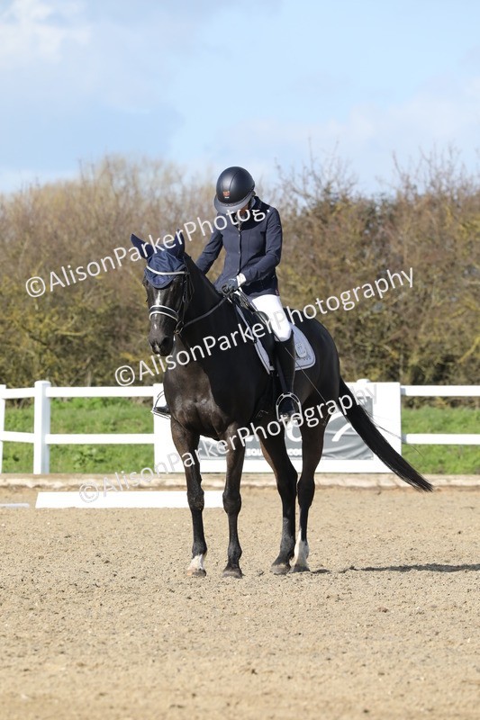 20260314-4980 - CT6 - Elementary 1