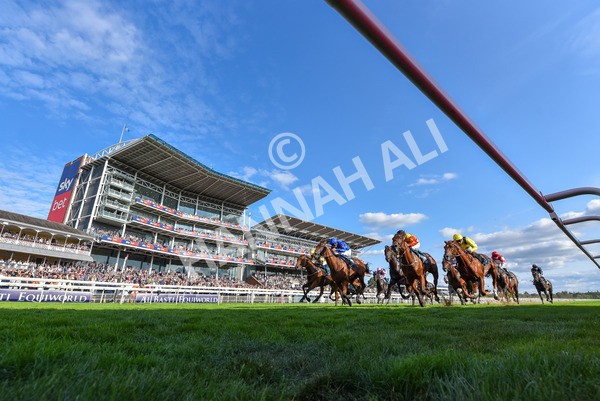220825-Race 7-Fifth Column-9534 - Race 7 5.20pm Sky Bet Mile Handicap