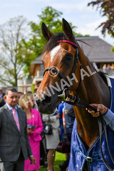 170523-Race 4-Soul Sister-0618 - Race 4 3.35pm Tattersalls Musidora Stakes