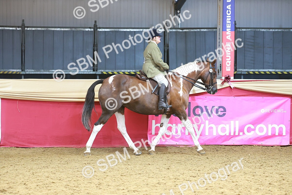 SBM_12427 - Class 103 - HOYS Veteran Qualifier - Ridden Pre Vet