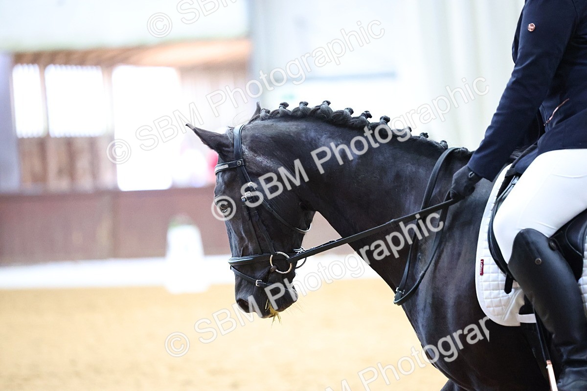 SBM_003369 - Intro 2