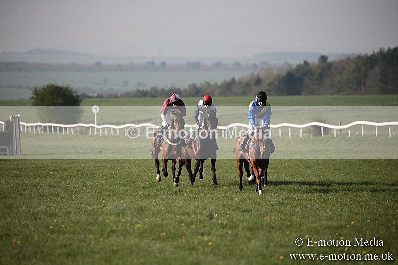 PtP 210418 600 - South & West Wilts Point-to-Point Larkhill 21/04/18