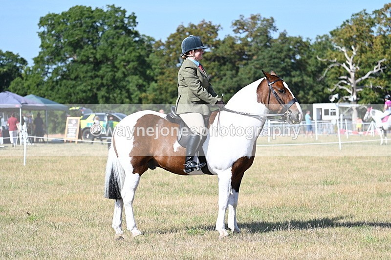 WJ7_2947 - Class 8 Ridden Tack & Turnout