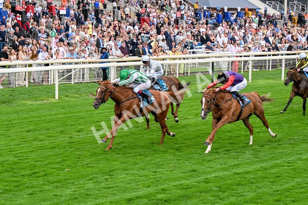 250725-Race 5-Sand Gazelle-0721 - Race 5 7.48pm British EBF Lyric Fillies' Stakes