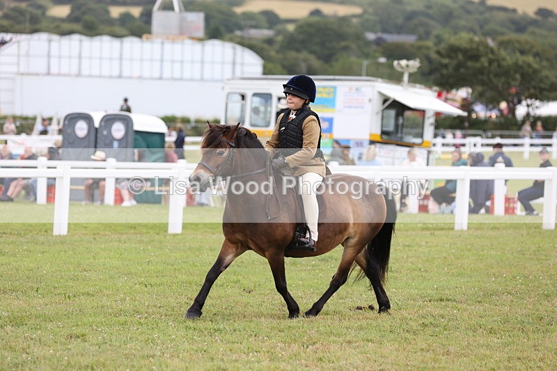 JPP_1766 - Class 18: Tiny Tots Working Hunter Pony