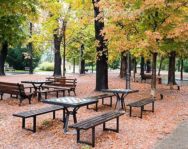 Belgrade park and chess tables - Capitals of Eastern Europe