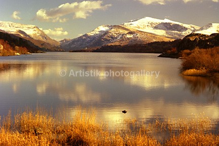 Snowdon & Llyn Padarn with reeds 85-8-7 - Sceniks.com - Snowdonia landscape photographs by Dave O'Shea