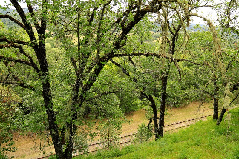 Down the line - Abandoned Line