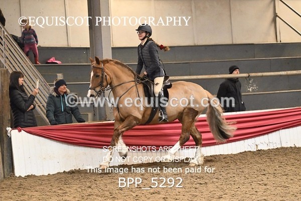 BPP_5292 - CLASS 6 60CM