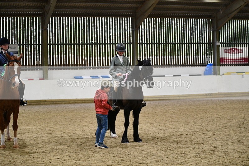 WJ5_8087 - Class 13 Ridden Part Breed