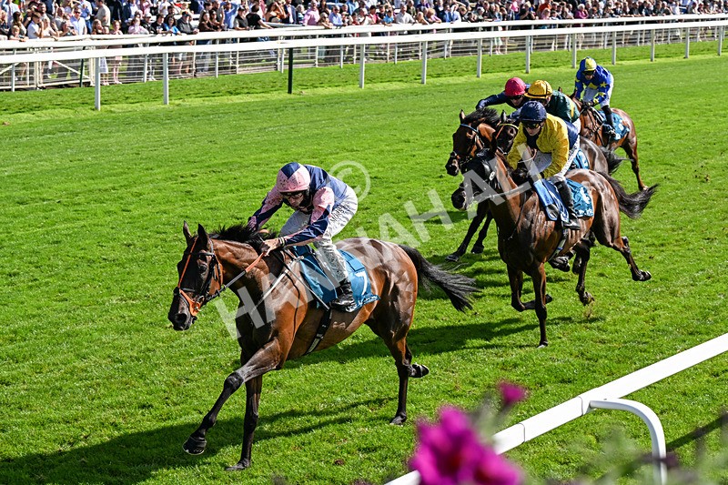 060926-Race 3-Moon Chime-0213 - Race 3 2.40pm Hanson Springs Stayers Handicap