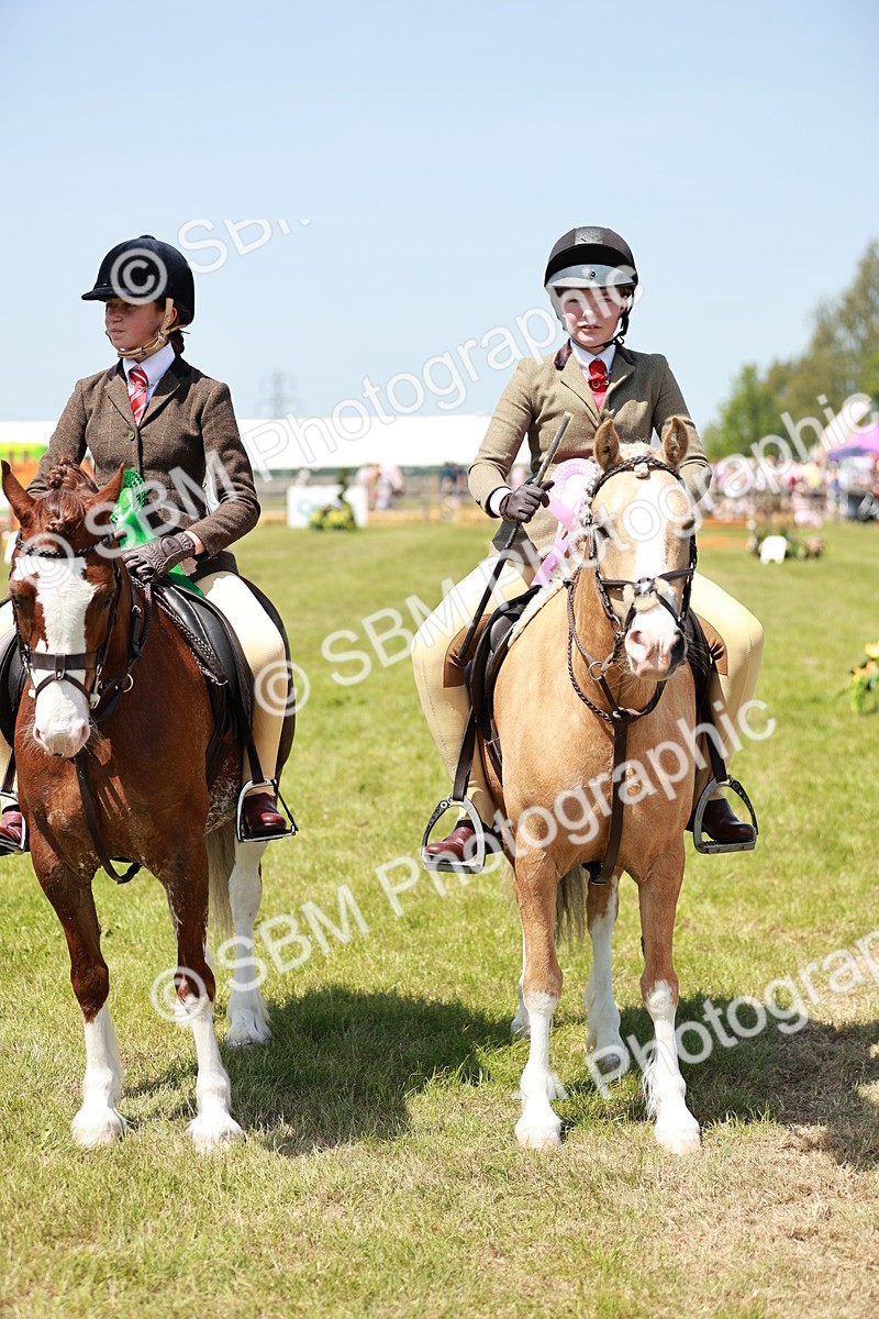 SBM_15728 - Class 108-109 - BSPS LIHS Open Gradle & Nursery Stakes