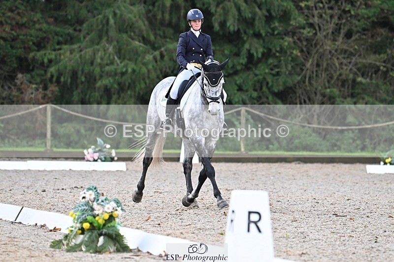 231019-094855-01223 - 028-BOLEYBAWN.COOLEY.LADY-Claire.Fielding-DR