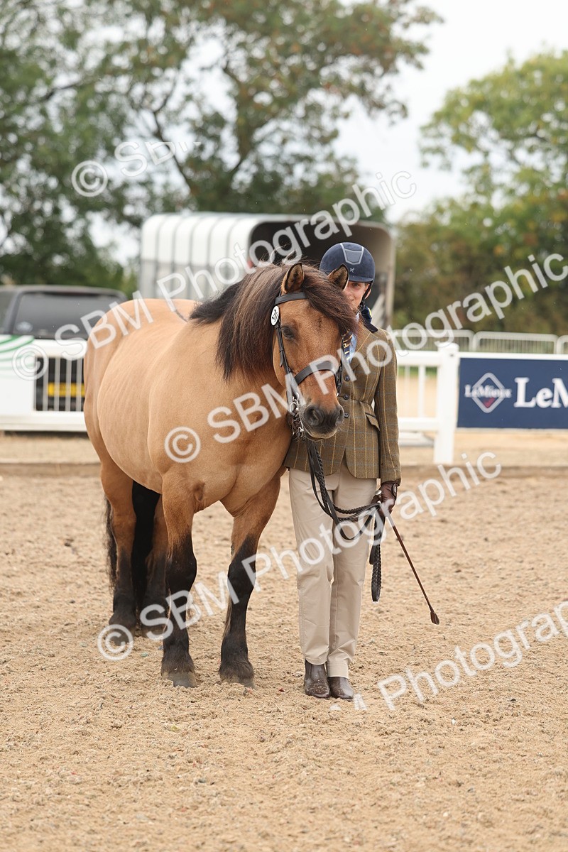 SBM_00550 - Class 13 Young Handler