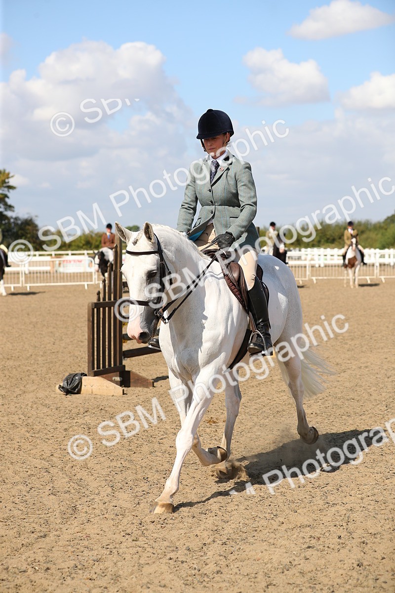 SBM_03260 - Class 44 Riding Club Horse/ Pony