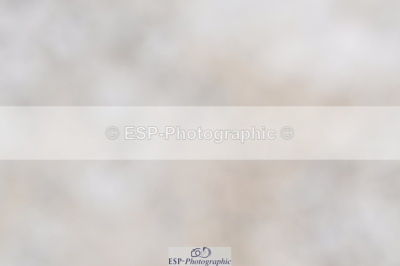 240811-132230-05901 - Adv Medium Silver