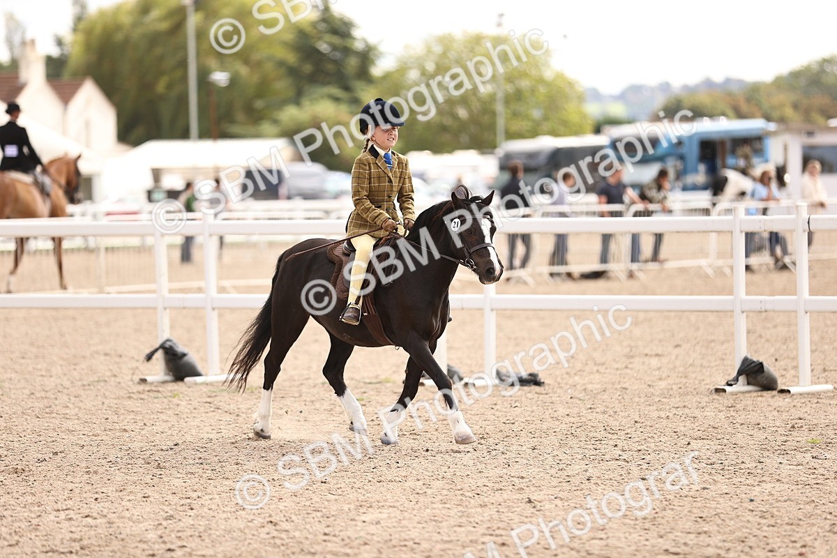 SBM_15963 - Class 416 - Prettiest Mare (IH or Ridden) Jnr