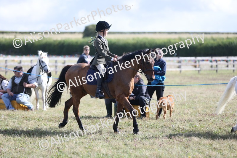 20250831-1006 - Class 15 - Ridden Veteran